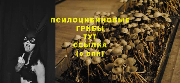 спайс Алексин