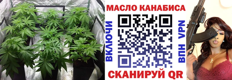 shop наркотические препараты  Порхов  Дистиллят ТГК THC oil 